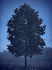 magritte-seize-septembre_198x198
